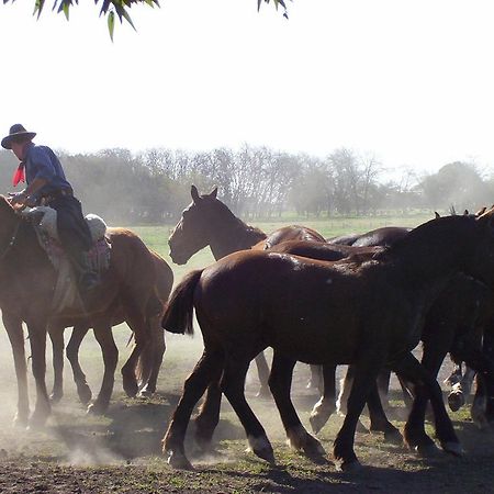 Гостьовий будинок Estancia Don Silvano Diego Gaynor Екстер'єр фото