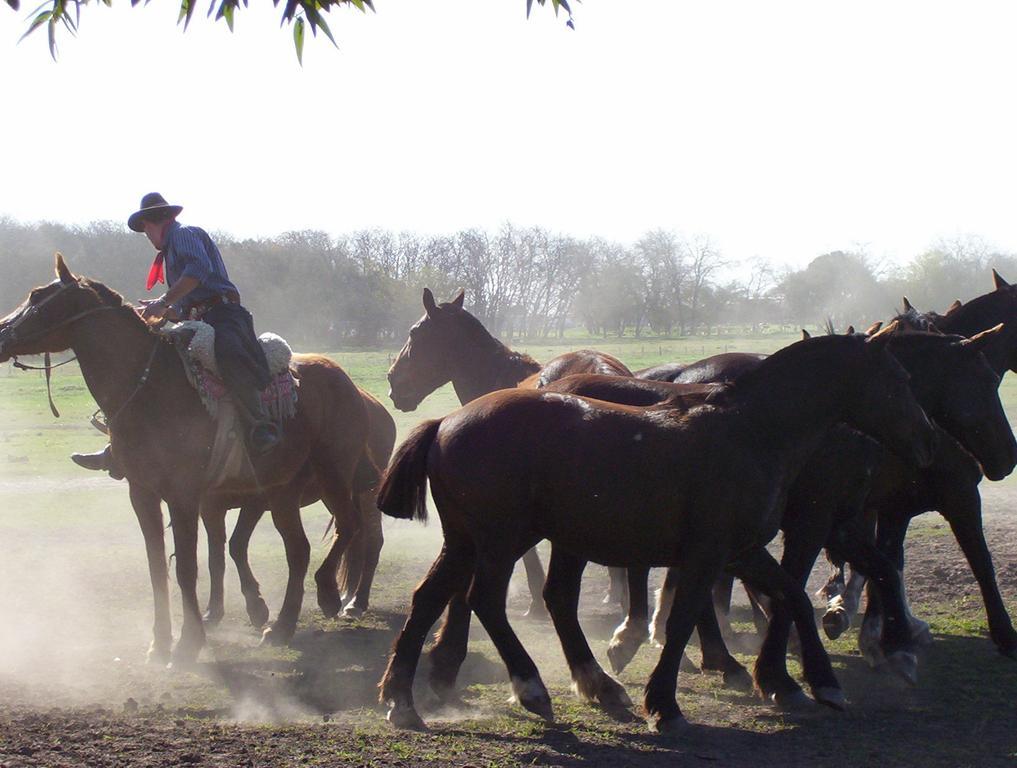 Гостьовий будинок Estancia Don Silvano Diego Gaynor Екстер'єр фото