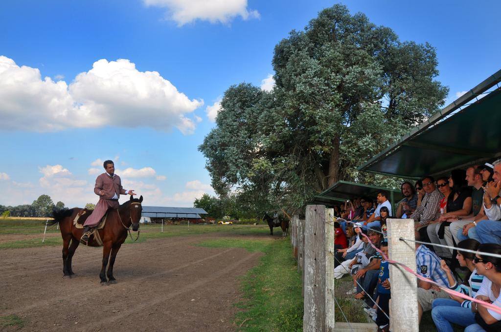 Гостьовий будинок Estancia Don Silvano Diego Gaynor Екстер'єр фото