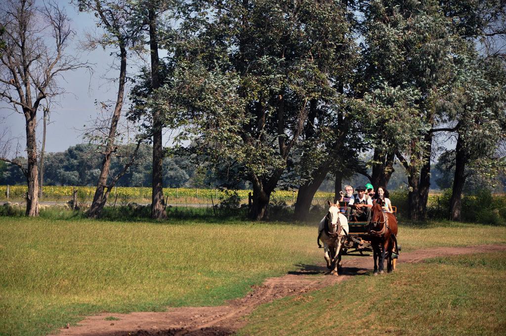 Гостьовий будинок Estancia Don Silvano Diego Gaynor Екстер'єр фото